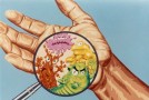 Czystość i dezynfekcja rąk – pojęcia kluczowe