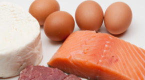 Źródła białka w diecie